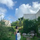 조이레이봇 | 한여름의 참맛을 보고 싶다면 8월의 제주를 가보자..(1)