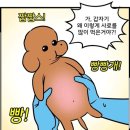 고구려 노래연습장 | 배째..신라 고구려..(대학로 맛집_포크랜드 혜화점)