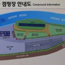솔밭 이미지