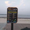 제주도게스트하우스파티월정리썬시티 | 제주도게스트하우스파티월정리썬시티 다녀온후기 👍🏻