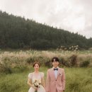 전지현플라워 이미지