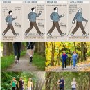 (숲치유) 30. 건강을 위한 숲 걷기 방법 – 여럿이 함께, 즐거운 숲 산행 이미지