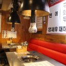 왕마포갈매기 이미지