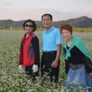 동천체육공원 이미지