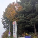 대흥종합중기