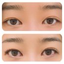 이안아파트 106동 건너편 | 부담 없는 속눈썹 연장/부산 사상 속눈썹 연장 잘하는 곳｜모블링에서 자연스러운 갈색 연장 후기
