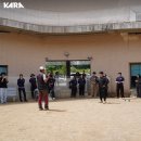 이평우 반려견 교육센터 이미지