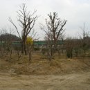 자명농장 이미지