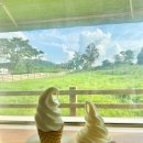 기정목장 이미지