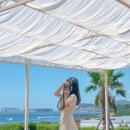 베이커스룸 네이버블로그