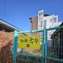 전주국수 | [전주] 전주 가성비 맛집 '물심양면 국수' 내돈내산 후기