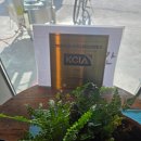 서진유통 - 시흥시 오이도중앙로 76 | 경주 한우 맛집, 경주 식육식당, 경주 고기집,서진푸주간 식육식당