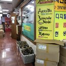 뉴-금호사진관 | 동대문 중앙칼라에서 카메라 현상, 필름 카메라 현상소 후기