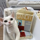 행복한 냥이네 | 샌딧 천연 고양이 모래, 응고력 좋은 모래로 추천!