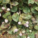 룸비니유치원 이미지