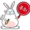 홀리퓨어