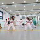 강담태권도 이미지
