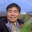 알로에팜영농조합법인