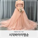 바이오케이 | 시작바이이명순 촬영드레스 가봉 후기