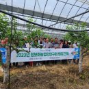 천왕농장 이미지