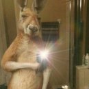 율핏 피트니스 이미지