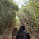 구조라항 공원 | 거제 여행 가볼만한 곳│구조라항 배편, 구조라성, 내도 국립공원, 내도모해│방문기