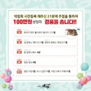 도시캠핑 이미지