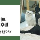 주식회사 티와이 이미지