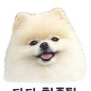 카페 무제 | 불광천 애견동반 카페 카페무제｜펫밀크 1,000원, 조용해서 좋았어요