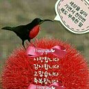 먹꼬 이미지