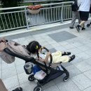 은성슈퍼 낚시 자판기 | 문경 아이와 가볼만한곳 추천! 4세 아이가 하루 종일 뛰어논 문경 에코월드 꿀동선 (문경투어패스...