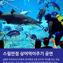 아쿠아리움 이미지