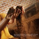 효소테라피 이미지