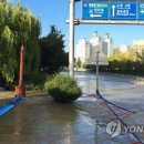 홈플러스 앞 도로 이미지