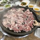 산정생오리 네이버블로그