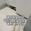 아이엠데이지 | 35주 임산부, 데이지오가닉 무압박 양말 내돈내산