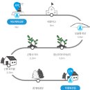 제주 창작무 | 올레 11코스