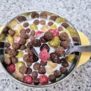 씨튼장애인직업재활센터 이미지