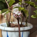 유인숙농장 이미지