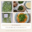 한미농장 | YM 마켓 돌미나리 유기농 봄나물로 즐긴 미나리나물 반찬 후기