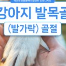 인제메디컬센터 이미지