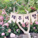 제주블랑