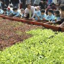 회색도시-도시이면 이미지