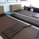 수목토일라이트 이미지