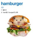 영등포역 롯데백화점 앞 | 영등포 점심 맛집 고민 끝🍔 움버거앤윙스 영등포역점 버거부터 양념감자 솔직후기