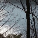 횡성 호수길 1구간 이미지