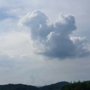 공룡직업소개소
