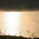 단지커피 이미지