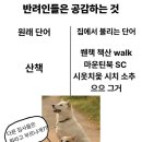 와와김밥 | 3월 : 모모스 마린시티 빵나오는 시간, 테라로사 수영 메뉴, 아키와와, 거루탱테이블, 산호횟집, 호지면