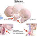 경희양지한의원 이미지